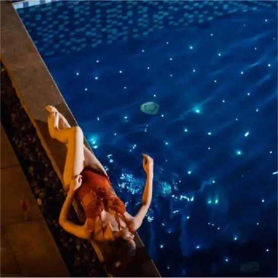 60W LED Fiber Optic DIY Light with Stainless Steel Body for Swimming Pool Star Floor