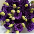 বেগুনি Lisianthus ফুলের জন্য ডাবল টাটকা কাট ফুল
