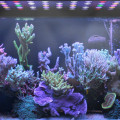 300W LED Acuario Luz Full Spectrum Reef Coral