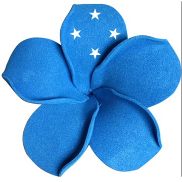 3 1/2" Customized Micronesia Foam Flower Hair Pick