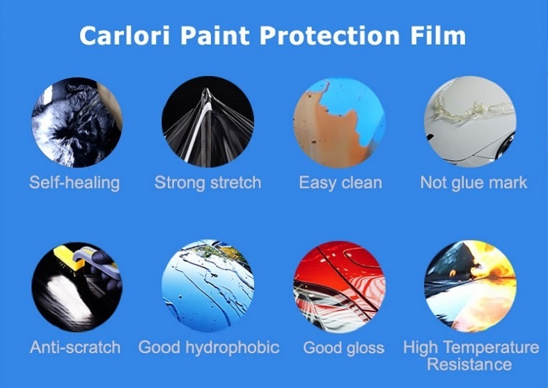 Bonnet Protection Film