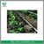 drip irrigation system for agriculture