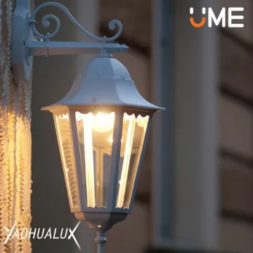 Clear Glass Die-cast Aluminium outdoor Wall light