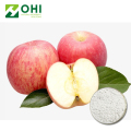 Apple Özü Polifenoller Toz 50 ~ 80% UV-VIS