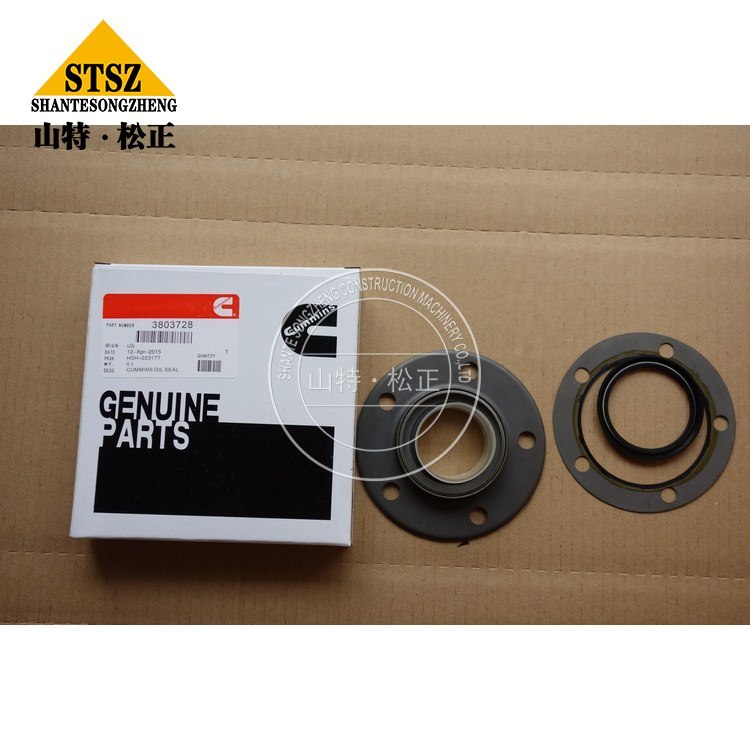 Cummins Spare Parts Seal Kit 3803728