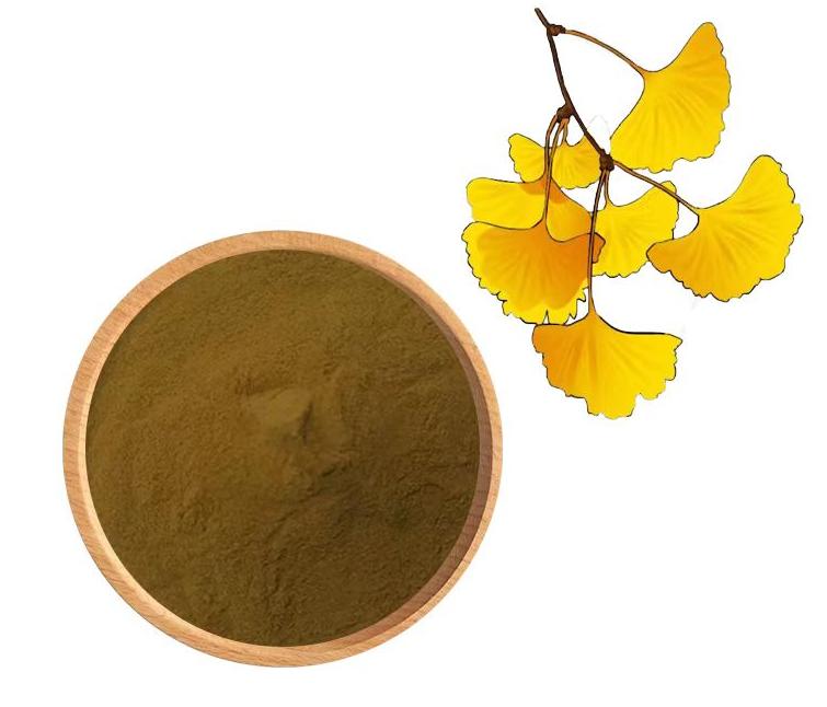 Ginkgo biloba extract