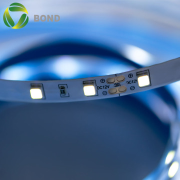 5M SMD 2835 LED Strip Lights 120leds/M - 10000k ، DC12V/24V