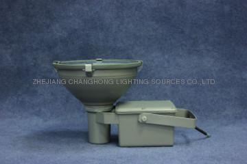 CHANGHONG 60W induction light flood light