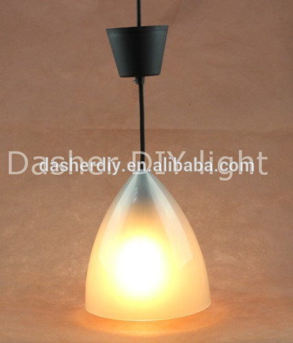 China supplier colorful plastic lamp pendant ligh + plastice ceiling rose from Dasher