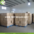 Wholesale Bulk Vitamins Low Pesticide Goji Berry