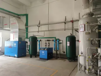 Nitrogen Generator System for Pharmaceutical Industries