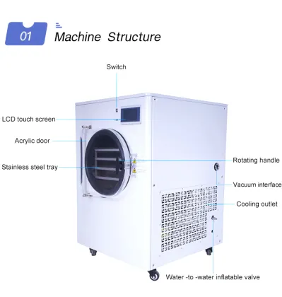 Vegetable Freeze Dryer with Vacuum Cavitation System