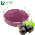 Longze Black Elderberry Fruit Juice Powder