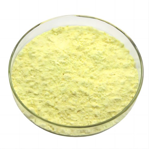 Extracto de epimedium Epimedium Extract