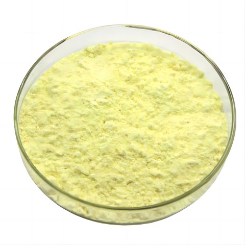 Epimedium Extract