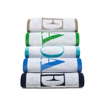 Beach Towel with Hood