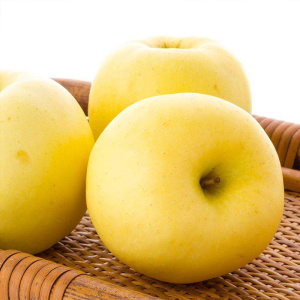 NingXia Frische Süße 90 Golden Delicious Niedriger Preis