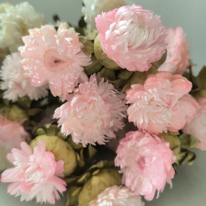 Daisy Party Decoration: Real Dry Flower Arrangements in White and Pink