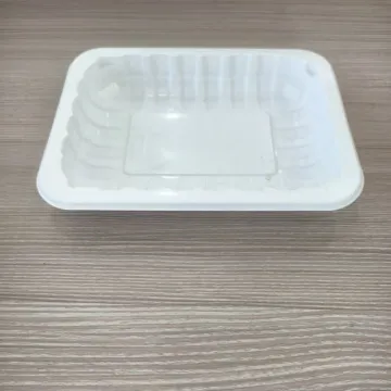 Disposable PET Rectangle Food Serving Tray