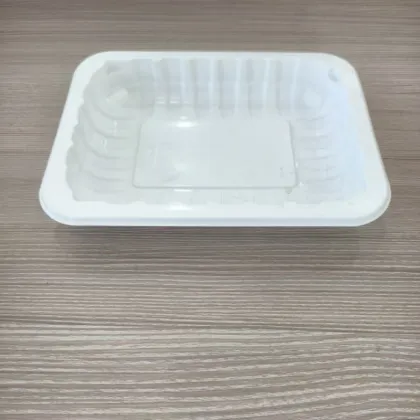 Disposable PET Plastic Food Serving Trays