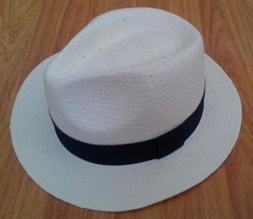 panama paper hat