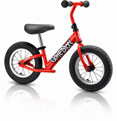High-Quality Children Bike/Kids Bicycle (C. S. 40)