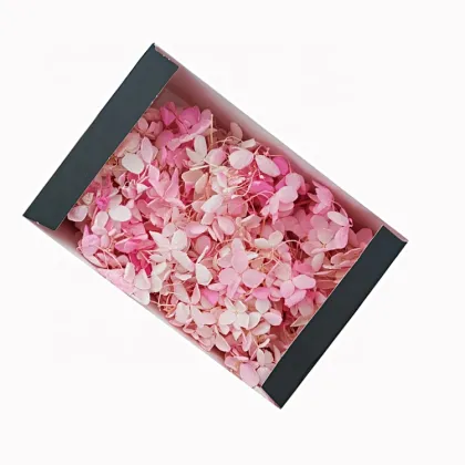 Kunming Fresh Cut Preserved Bicolor Hydrangea Flowers