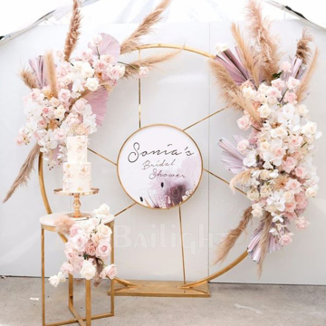 Round Design Stainless Steel Backdrop for Wedding and Events