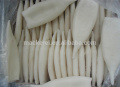 IQF Frozen Gigas Squid Tube U3 U5