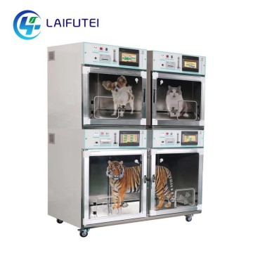 State-of-Art Veterinary ICU Units for Critical Conditions