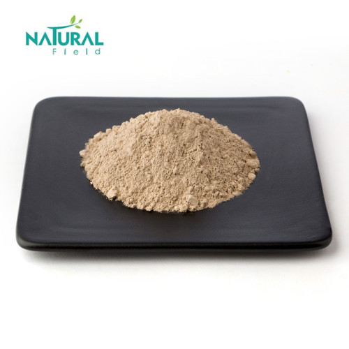 Natural Fucoidan Powder 100% Natural Algae Extract Fucoidan Manufactory