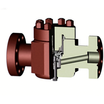Poppet and Swing Check Valve