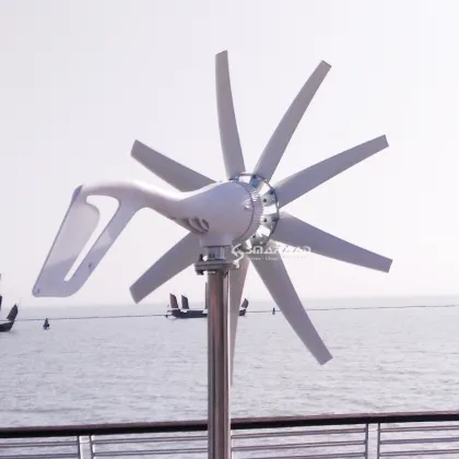 1KW 12V 24V domestic wind turbine Wind Turbine White