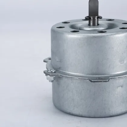 High Quality Customized Professional Motors for Household Appliances and Air Blowers