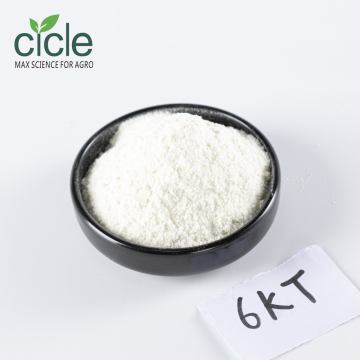 Kinetin Cytokinin Enhances Cell Division in Plants