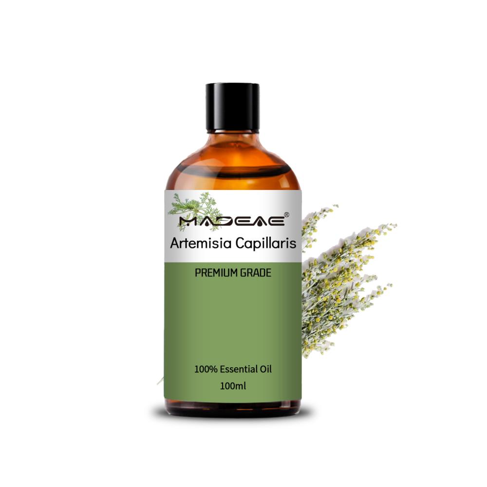 100% puro de precio orgánico de precio natural Artemisia Wormwood Essential Oil