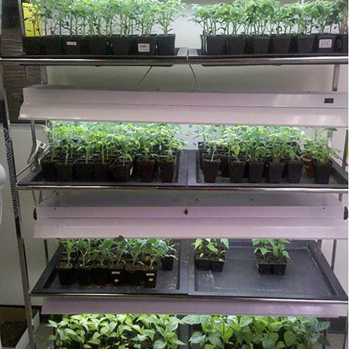 LED Fluorescent Growth Lighting for Hydropnics