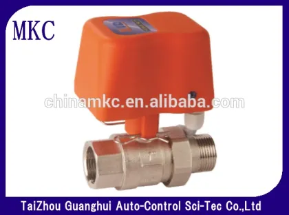 Electric motorized brass zone valve