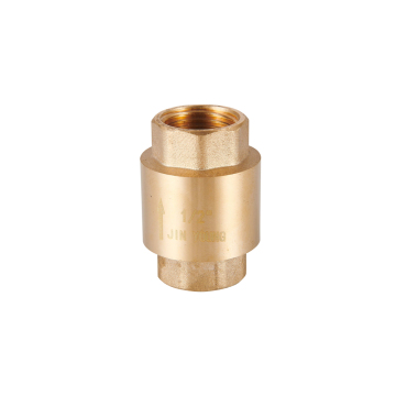Spring Brass Check Valve for Water Control