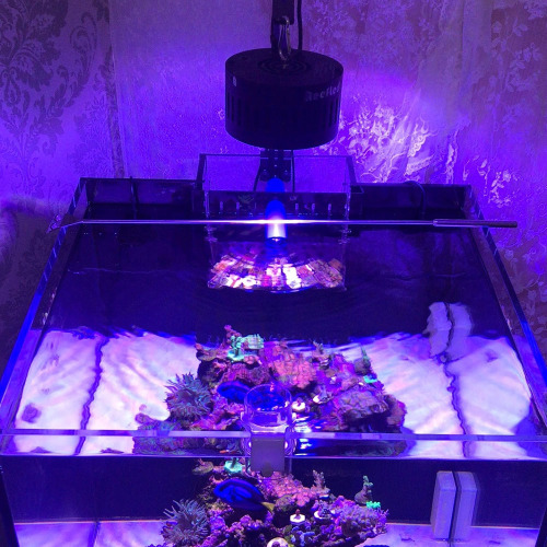 80WPHLIZON Aquarium LED Light Высокая стоимость выполнения DIY
