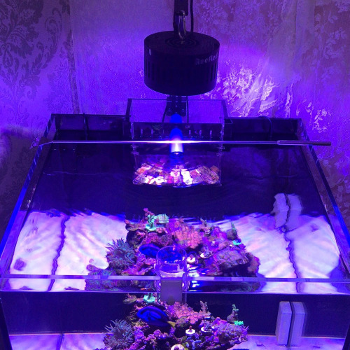 LED Light Aquarium LED z kontrolnymi fanami chłodzącymi