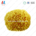 /msite/products/detail/productid/57090879/id/667116.html