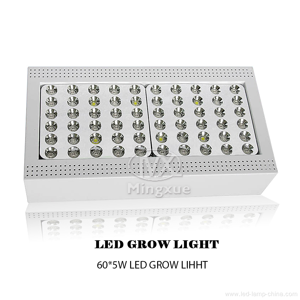 Hydroponics 5W LED Grow Light