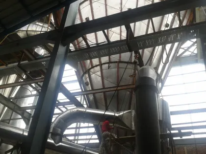 Efficient Drying Machine for Oats