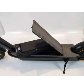 Rental Business Electric Kick Scooters Sharing e scooters