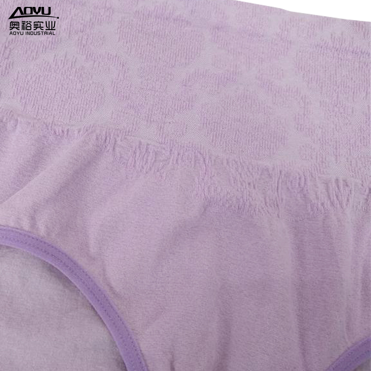 Women S High Waist Briefs