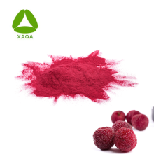 Organic Instant Fruit Bayberry Waxberry Juice Powder