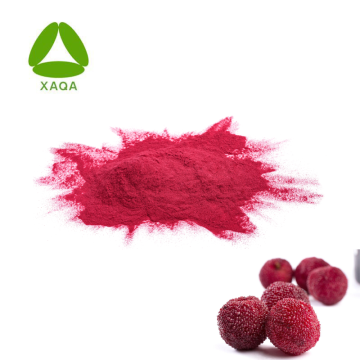 Bio -Instant Obst Bayberry Waxberrysaftpulver