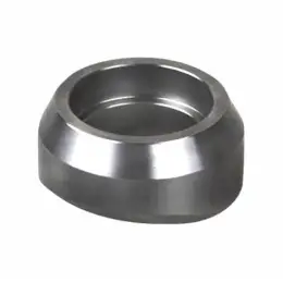 stailness steel sockolet fittings
