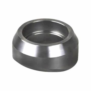 stailness steel sockolet fittings